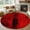 Red, variant on Entryway Rug 2x3 Ft,Teal Turtle Coastal Non Slip Small Area Rugs for Front Door,Summer Beach Starfish Nautical Sea Washable Low Pile Accent Carpet Doormat for Indoor Entrance Kitchen Bathroom Doorway