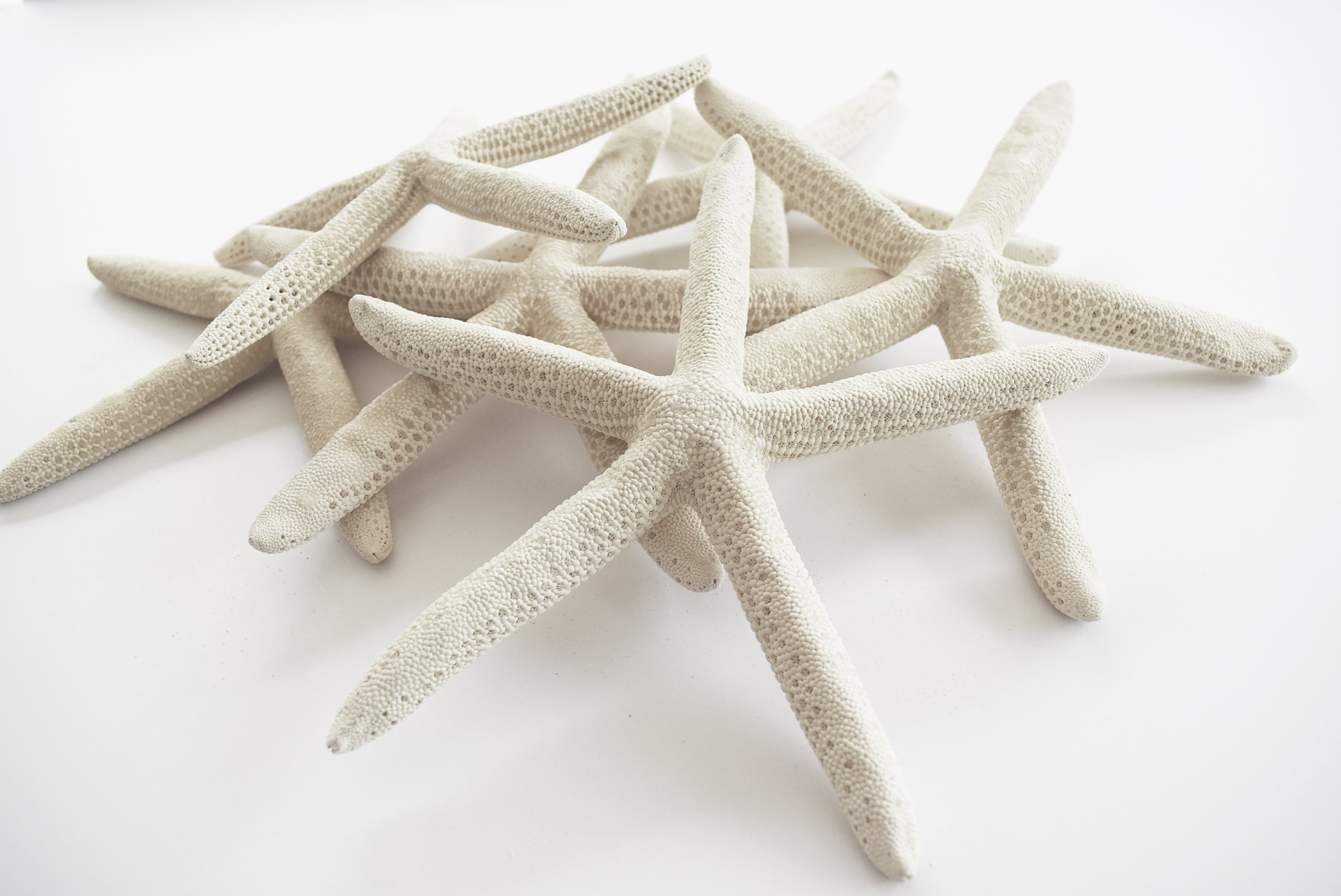 Luau Beach Ocean Wedding Tiki Luau Event Bar toom Shells STarfish Lights