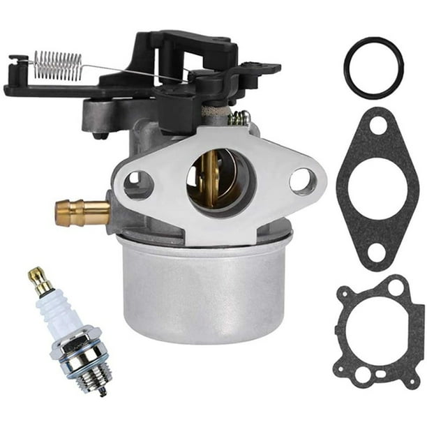 Desde China 796608 Carburador para desbrozadora BRIGGS & STRATTON 796608 594287 Rotores
