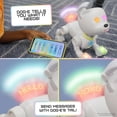 thumbnail image 3 of Dog-E Interactive Robot Dog with Colorful LED Lights, 200+ Sounds & Reactions, App Connected (Ages 6+), 3 of 5