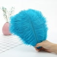 thumbnail image 2 of Plumes 23cm Environ Accessoires de Scène Plumes Colorées pour Mur, 2 of 7