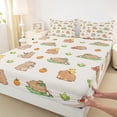 thumbnail image 3 of Manfei Cute Capybara Bed Sheets,Cartoon Animal King Sheets,Watermelon Orange Sheet Set For Boy Girl,Super Cozy Room Decor,4pcs, 3 of 7
