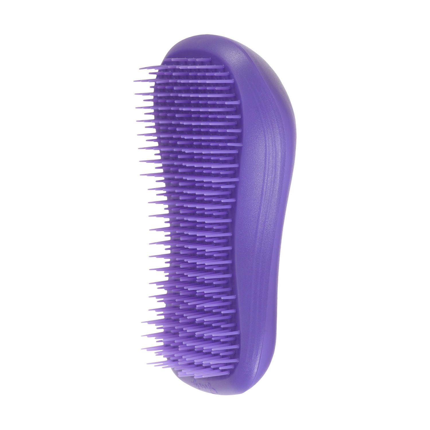 Brosse Tanble Fixe de Goody