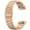 Rose gold, variant on LEIXIUER Metal Stainless Steel Wristbands Compatible with Fitbit Charge 6 Charge 5