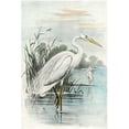 thumbnail image 2 of unknown 11x14 Black Ornate Wood Framed with Double Matting Museum Art Print Titled - Oversize White Heron, 2 of 4