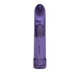 thumbnail image 6 of CalExotics Shane's World Sparkle "G-Spot" Multi-Speed Glitter Vibrator - Purple, 6 of 9