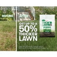 thumbnail image 4 of Scotts Turf Builder Thick'R Lawn Tall Fescue Mix, Thickens Thin Grass, 40 lbs., 4 of 10