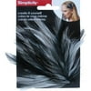Simplicity Feather Plume, 1 Each