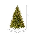 thumbnail image 3 of Vickerman 6.5' x 56" Emerald Mixed Fir Artificial Christmas Tree with Warm White LED Lights., 3 of 4