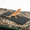 thumbnail image 7 of Unique Bargains Reptiles Slate Rocks Basking Surface Reptile Basking Platform Enhances Climbing Activity 7.87"x3.94" Black Gray, 7 of 7