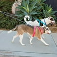thumbnail image 4 of Hearth & Gear Double Bungee Leash 1st Step Training Tool Double Bungee Dog Leash 360° Swivel For Small/Medium/Large Breeds Padded Handles Absorbing Rope (Blue/Black Double Leash) Metal Dog Leash Cute, 4 of 5