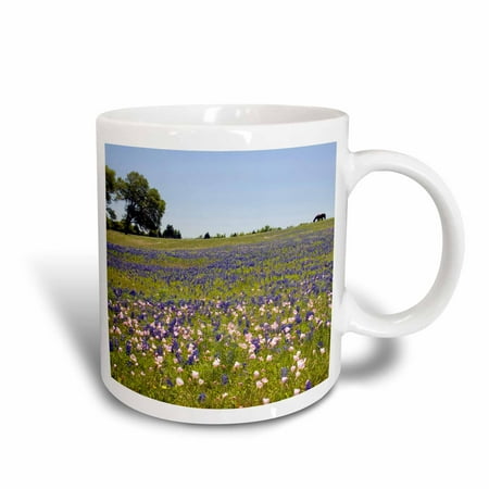 3dRose Horse in Bluebonnet, Evening Primrose, Texas - US44 DFR0237 - David R. Frazier, Ceramic Mug, 11-ounce