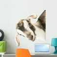 thumbnail image 1 of Baby Goat H)ead Wall Mural Decal by Wallmonkeys Vinyl Peel and Stick Graphic (24 in H x 20 in W), 1 of 4