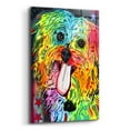 thumbnail image 2 of Epic Art 'Shih Tzu' by Dean Russo, Acrylic Glass Wall Art, 12"x16", 2 of 8