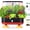 Black+red, variant on 16 Pods Hydroponic Growing System, Indoor Garden with 24W Full- LED, Quiet Auto-Watering Planter, Classic Red-Black Design for , Office & Holiday