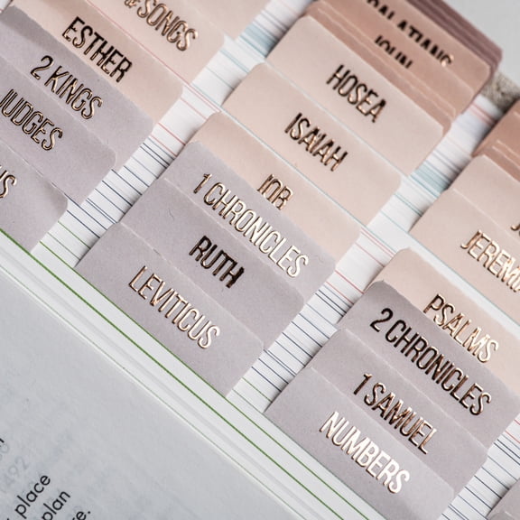 DiverseBee Laminated Index Bible Tabs (Rose Gold Embossed Lettering), Bible Journaling Supplies, 66 Book Tabs and 11 Blank Tabs - Pearl Theme