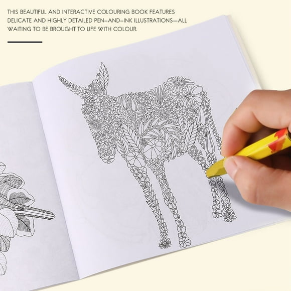 Children Adult Animal Kingdom Treasure Hunt Coloring Painting Book