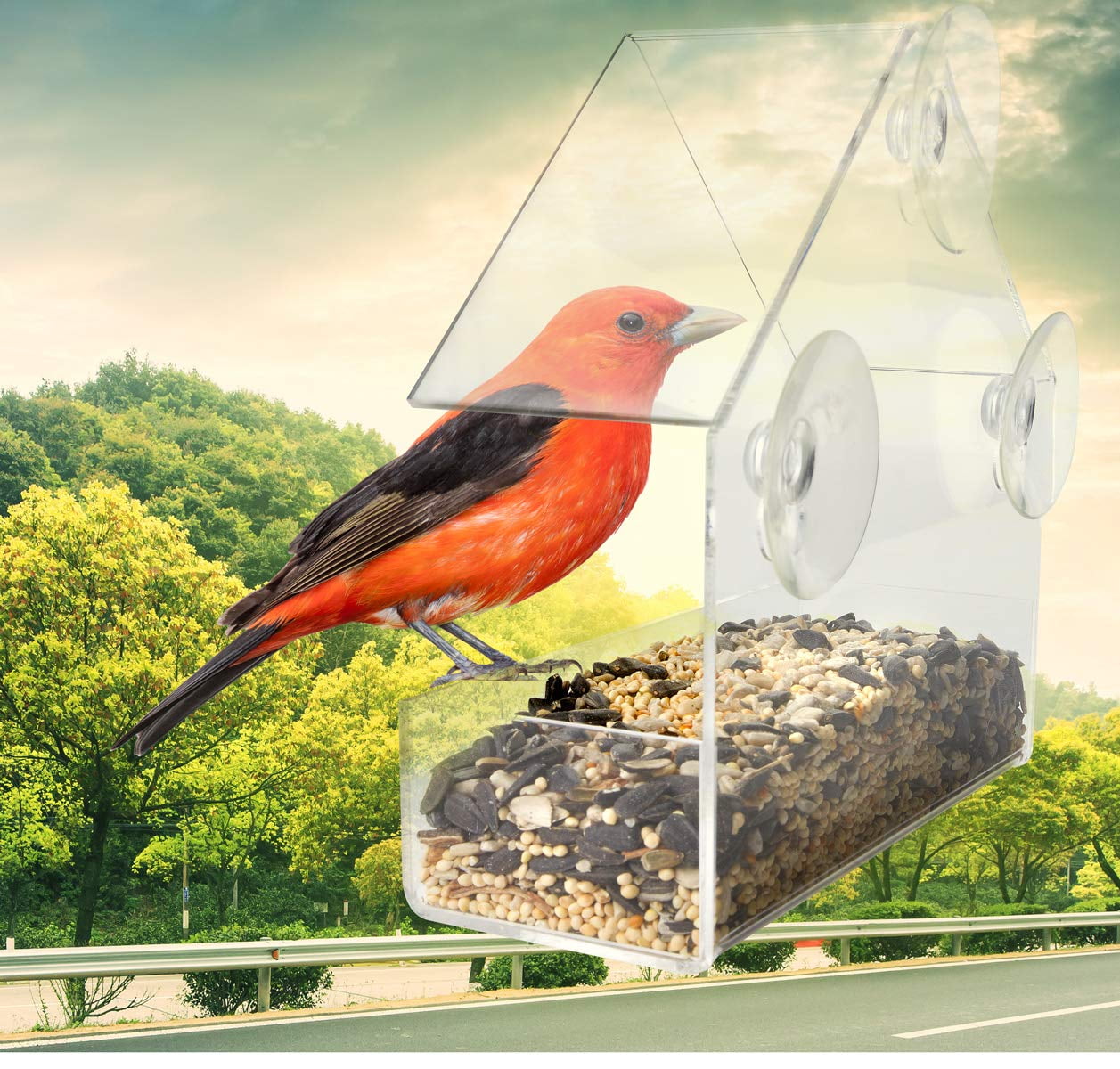 Window Bird Feeder with Strong Suction Cup for Fun and Amusing Bird Watching - Clear Bird Feeder for Any Room Window