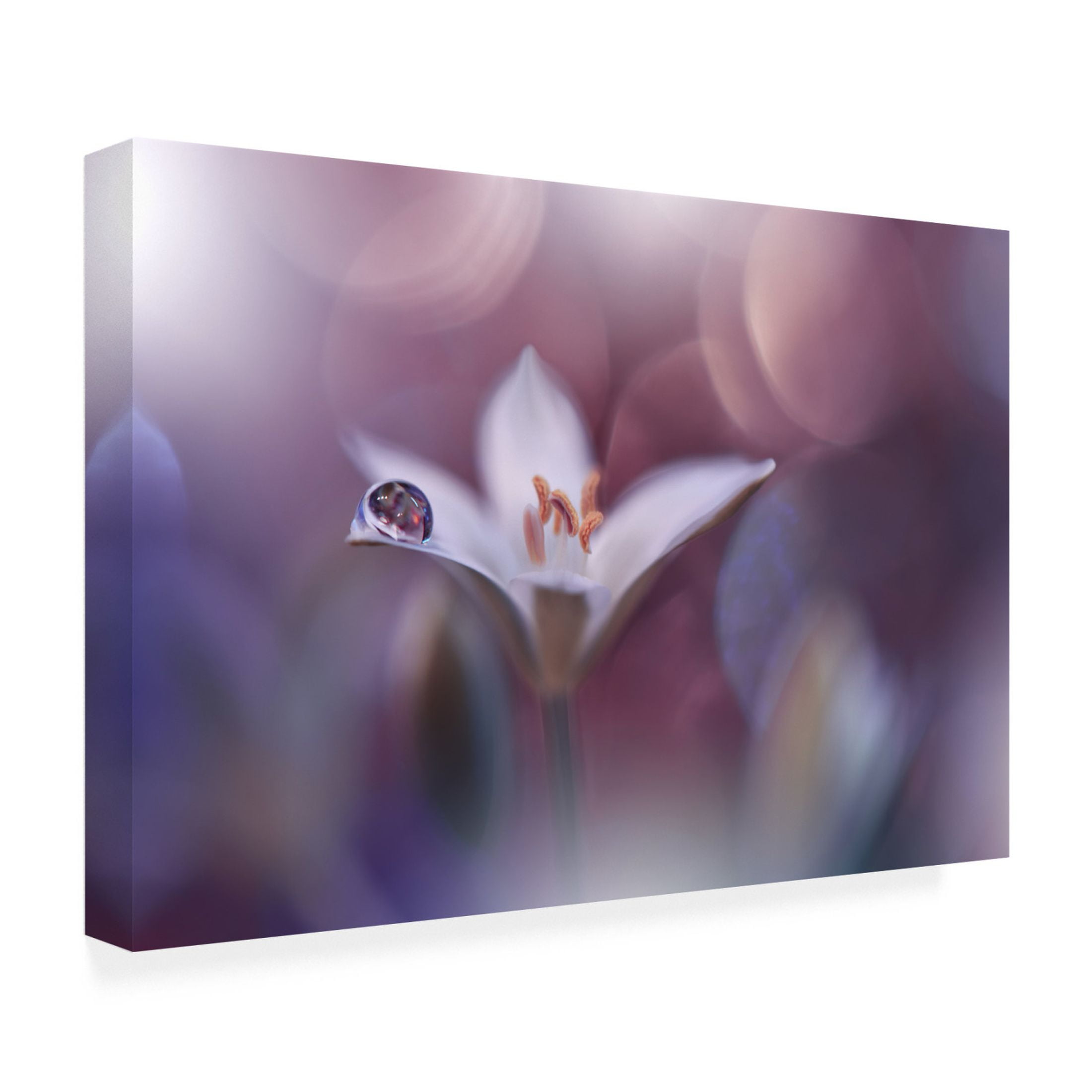 Trademark Fine Art Juliana Nan Time Traveller Canvas Wall Art