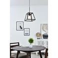 thumbnail image 4 of Luminous 1 Light Pendant in black, 4 of 7