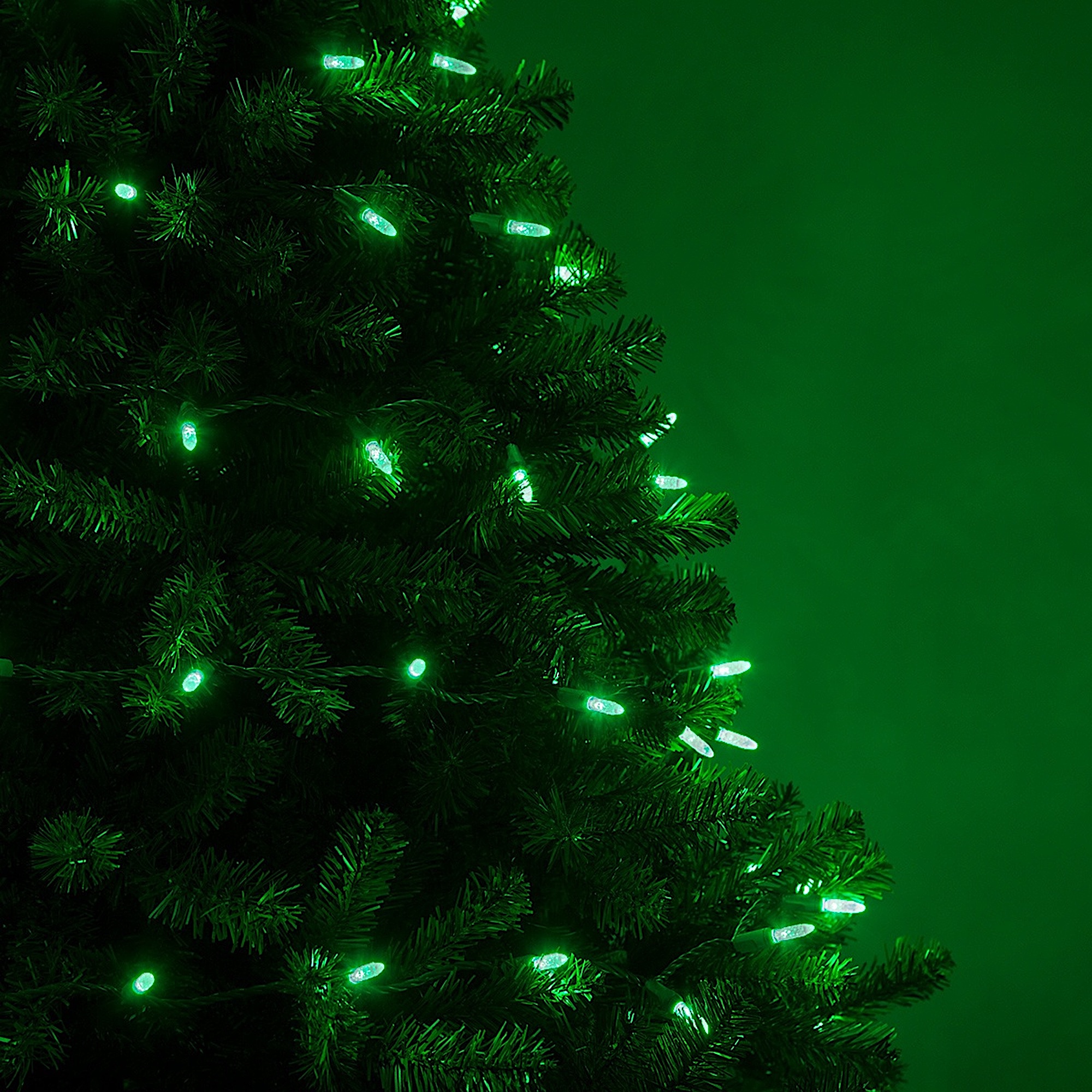 Wintergreen Lighting 70 Green LED Christmas Tree Lights, 4" Spacing, 24', Faceted String Lights for Holiday Party St. Patrick’s Day Decoration - image 5 of 8