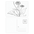 thumbnail image 1 of Black White Dandelion Flowers Postcard Set Birthday Mailing Thanks Greeting Card, 1 of 3