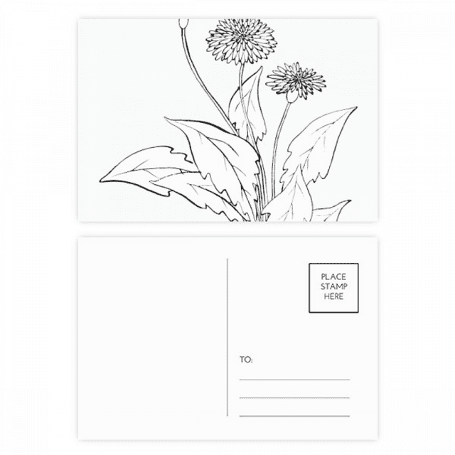 Black White Dandelion Flowers Postcard Set Birthday Mailing Thanks Greeting Card