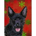 thumbnail image 1 of Caroline's Treasures Red and Green Snowflakes Holiday Christmas 2-Sided Garden Flag, 1 of 7