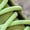 Green, variant on Women's Outdoor Waterproof Hiking Boot Snow Boots Walking Shoes Army Green 7.5(40)