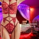 thumbnail image 5 of Conjunto de lencería de encaje sexy para mujer Liguero Sujetador Panty Bralette Ropa interior, Rojo, S Eigraketly XX000166-02, 5 of 7