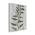 thumbnail image 2 of Trademark Fine Art 'Rustic Greenery III' Canvas Art by Studio W, 2 of 4