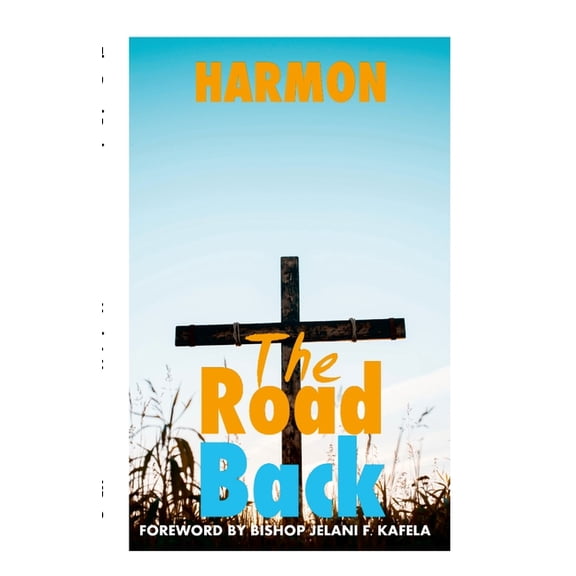 The Road Back (Paperback)