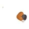 View all media