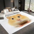 thumbnail image 3 of Machine Washable Area Rugs 5x7 ft with Non-Slip Backing Animal Yellow Hamster Low Pile Rug, Ideal for Hallway, Living Room, Bedroom, Kitchen and Laundry Room, 3 of 7