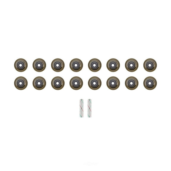 FEL-PRO SS 73163 Engine Valve Stem Oil Seal Set