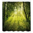 thumbnail image 3 of Ambesonne Forest Shower Curtain, Scenic Morning in Nature, 69"Wx84"L, Green, 3 of 5