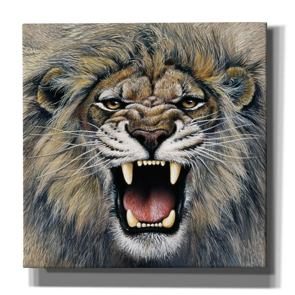 Epic Graffiti 'Lion' by Harro Maass, Canvas Wall Art, 12"x12"
