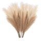 thumbnail image 1 of Pampas Secas  Flores Decorativas Flores Artificiales, 1 of 5