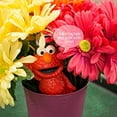 thumbnail image 5 of Identity Games Elmos World Hide and Seek Game - Features Talking Elmo from Sesame Street, 5 of 5