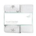 aden by aden + anais muslin blanket, dusty