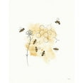 thumbnail image 2 of York, Leah 12x14 Black Ornate Wood Framed with Double Matting Museum Art Print Titled - Bees and Botanicals VI, 2 of 4