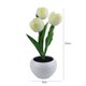 thumbnail image 1 of Lámpara de mesa de tulipán LED Luz de escritorio de cabecera segura para decoración de cafetería (D) Likrtyny Para estrenar, 1 of 8
