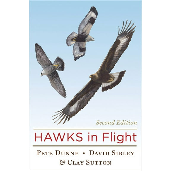Hawks in Flight, (Hardcover)