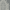 Gray Lace Medallion, variant on Better Homes & Gardens 100% Cotton Lace Medallion Grey, 2 Yard Precut Fabric