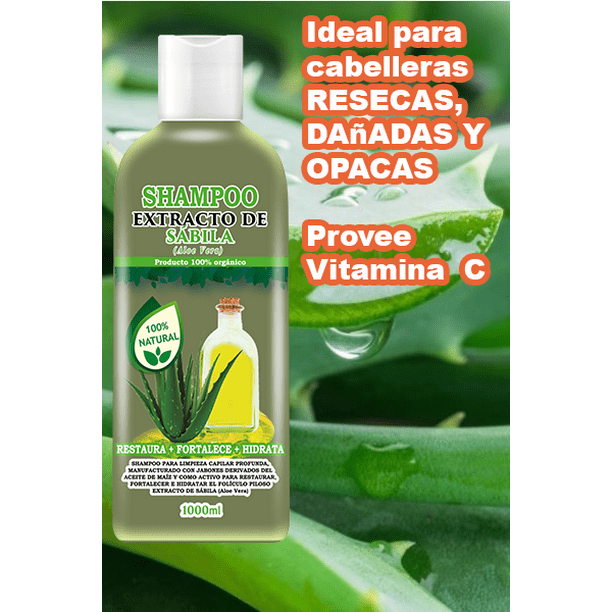 Sábila Masajes Capilares Caseros Para El Crecimiento Shampoo