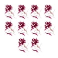 thumbnail image 1 of Injueey 10 piezas de cintas de lazo para boda, cumpleaños, fiesta, compromiso, decoración, regalo, ventana, pared, puerta, árbol, embalaje, accesorio Kits de decoración para fiestas Tipo 2 Injueey HA078693-02, 1 of 6