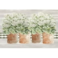 thumbnail image 2 of Jacobs, Cindy 18x13 White Modern Wood Framed Museum Art Print Titled - Welcoming Geraniums II, 2 of 4