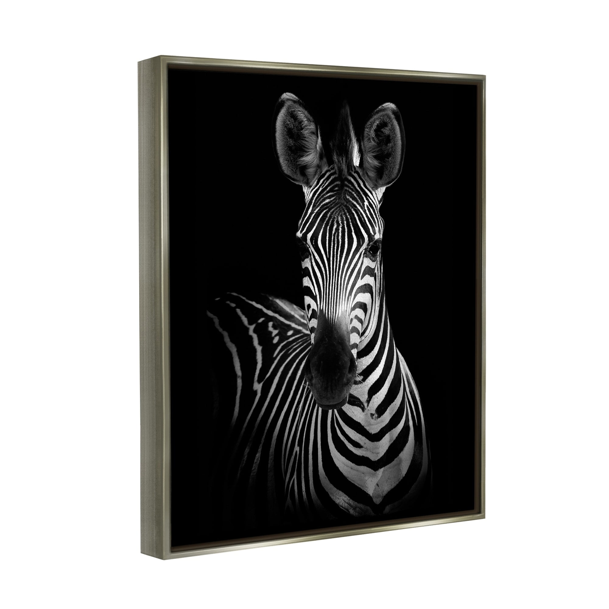 Stupell Industries Striking Greyscale Monochrome Zebra Photography Portrait Luster Gray Framed Floating Canvas Wall Art, 16x20, by Incado