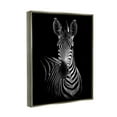 thumbnail image 5 of Stupell Industries Striking Greyscale Monochrome Zebra Photography Portrait Luster Gray Framed Floating Canvas Wall Art, 24x30, by Incado, 5 of 5
