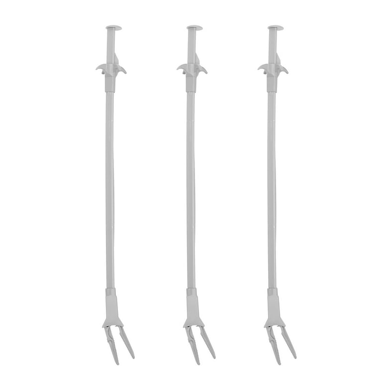 Feeding tongs for fish top